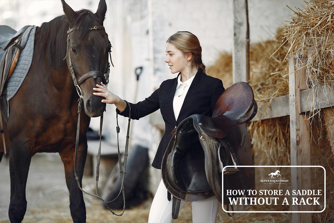 How to Store a Saddle without a Rack Easy Tips for Horse Lovers